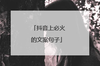 抖音上必火的文案句子