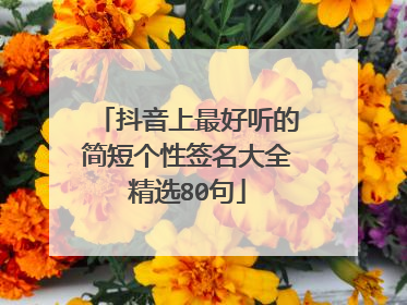 抖音上最好听的简短个性签名大全精选80句