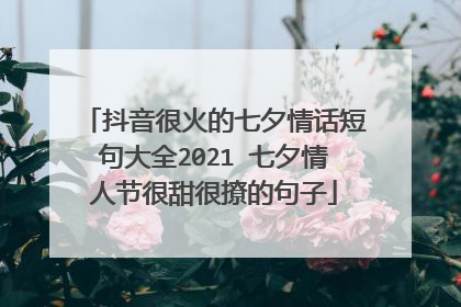 抖音很火的七夕情话短句大全2021 七夕情人节很甜很撩的句子