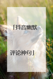 抖音幽默评论神句