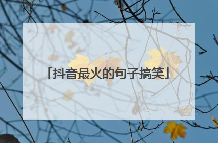 抖音最火的句子搞笑