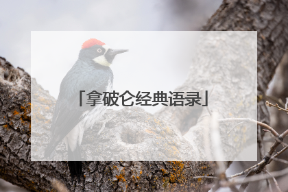 拿破仑经典语录