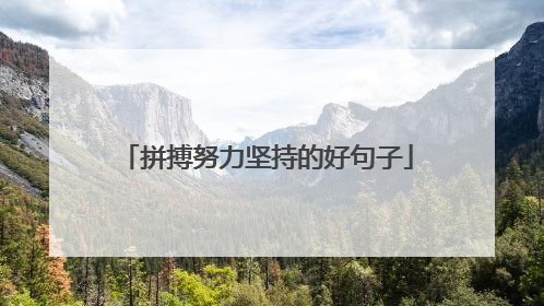 拼搏努力坚持的好句子