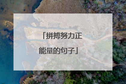 拼搏努力正能量的句子