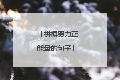 拼搏努力正能量的句子