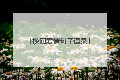 挽回爱情句子语录
