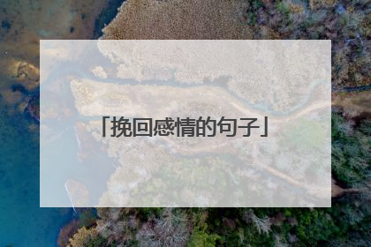 挽回感情的句子