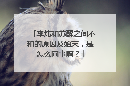 李炜和苏醒之间不和的原因及始末,是怎么回事啊?