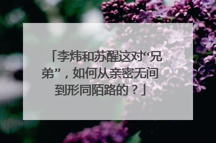李炜和苏醒这对“兄弟”,如何从亲密无间到形同陌路的?