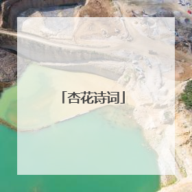 杏花诗词