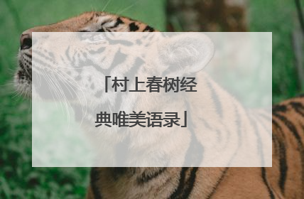 村上春树经典唯美语录