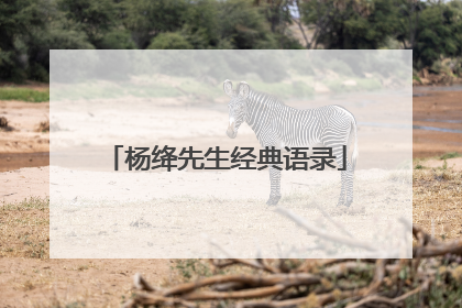 杨绛先生经典语录