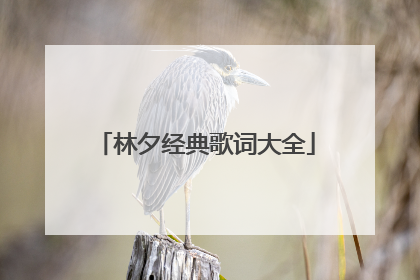 林夕经典歌词大全