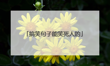 搞笑句子能笑死人的