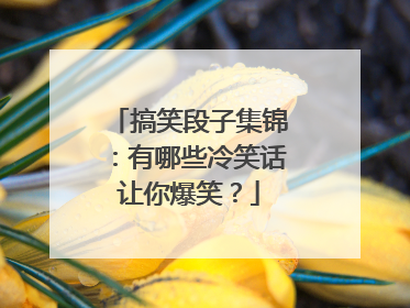 搞笑段子集锦:有哪些冷笑话让你爆笑?