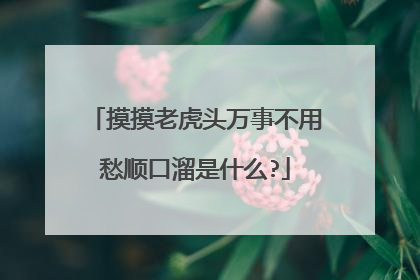 摸摸老虎头万事不用愁顺口溜是什么?