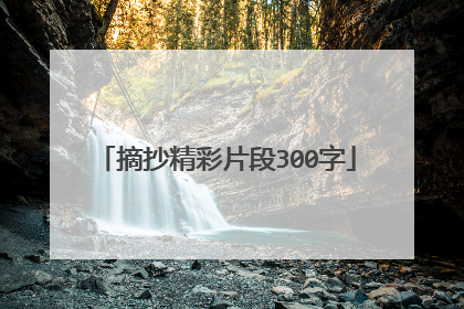 摘抄精彩片段300字