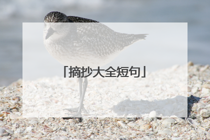 摘抄大全短句