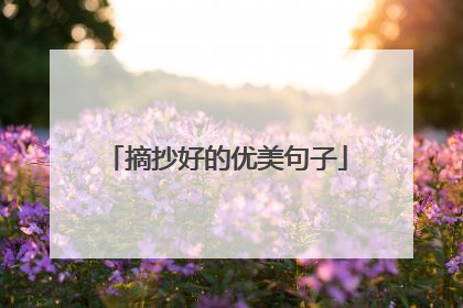 摘抄好的优美句子