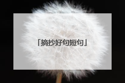 摘抄好句短句