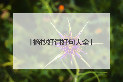 摘抄好词好句大全