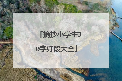 摘抄小学生30字好段大全