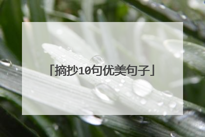 摘抄10句优美句子