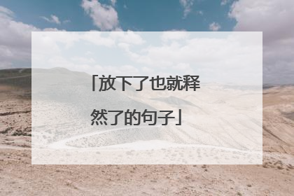 放下了也就释然了的句子