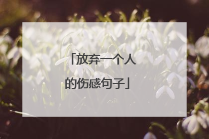 放弃一个人的伤感句子