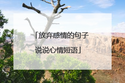 放弃感情的句子说说心情短语