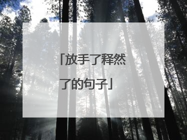 放手了释然了的句子