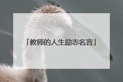 教师的人生励志名言