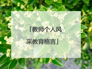 教师个人风采教育格言
