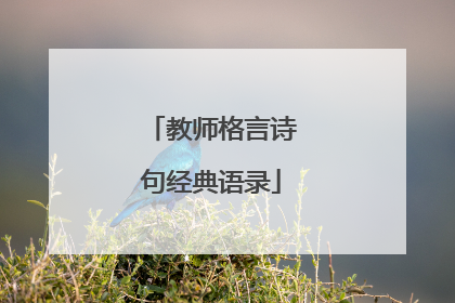 教师格言诗句经典语录