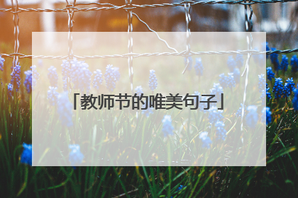 教师节的唯美句子