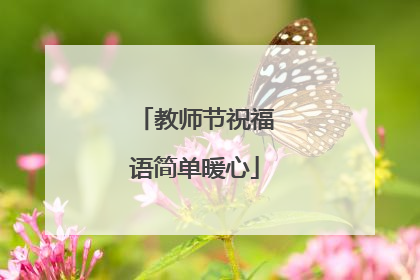教师节祝福语简单暖心