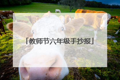 教师节六年级手抄报