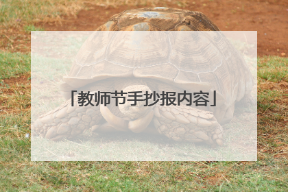 教师节手抄报内容