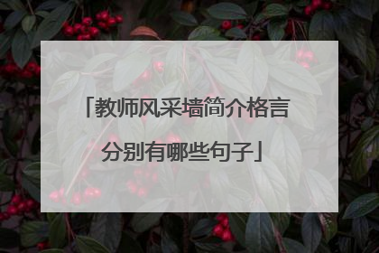 教师风采墙简介格言 分别有哪些句子