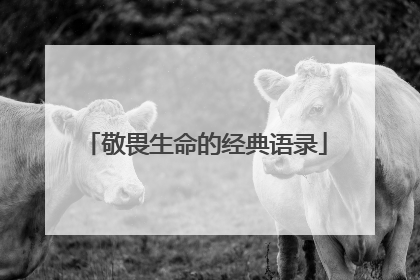 敬畏生命的经典语录