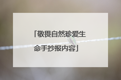 敬畏自然珍爱生命手抄报内容