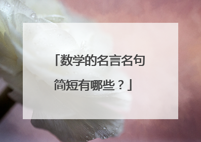 数学的名言名句简短有哪些?