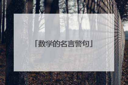 数学的名言警句