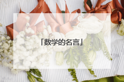 数学的名言