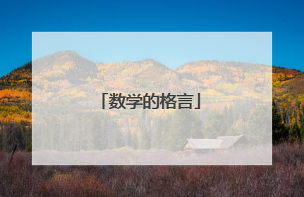 数学的格言