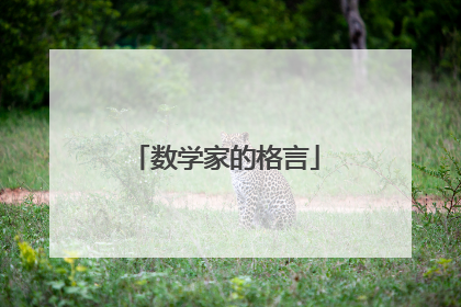 数学家的格言