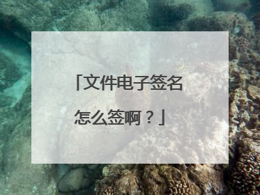 文件电子签名怎么签啊?