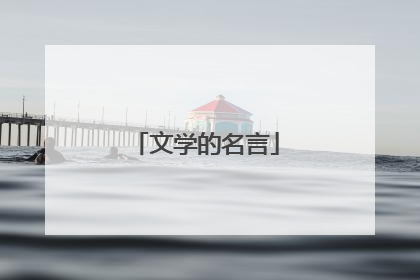 文学的名言