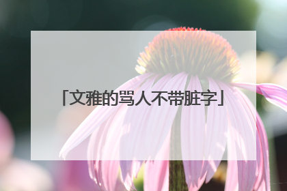 文雅的骂人不带脏字