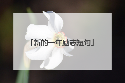 新的一年励志短句